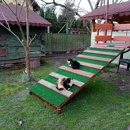 Gut منزل للإقامة