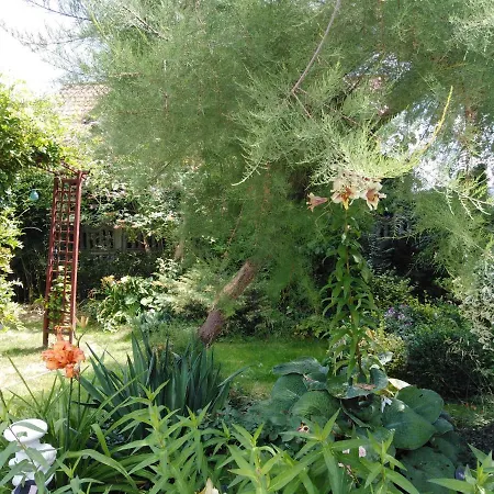 Accommodatie bij particulieren Gut *