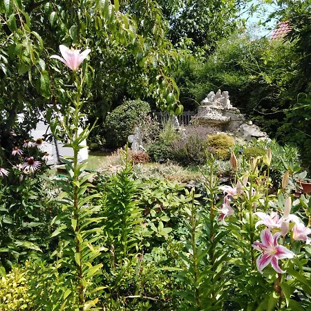 Gut بوليسلافيتش