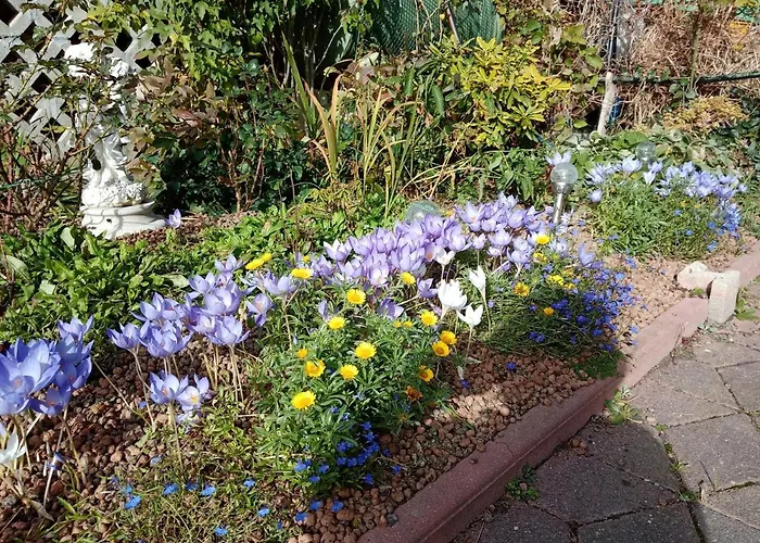 Gut Boleslawiec (Lower Silesia)