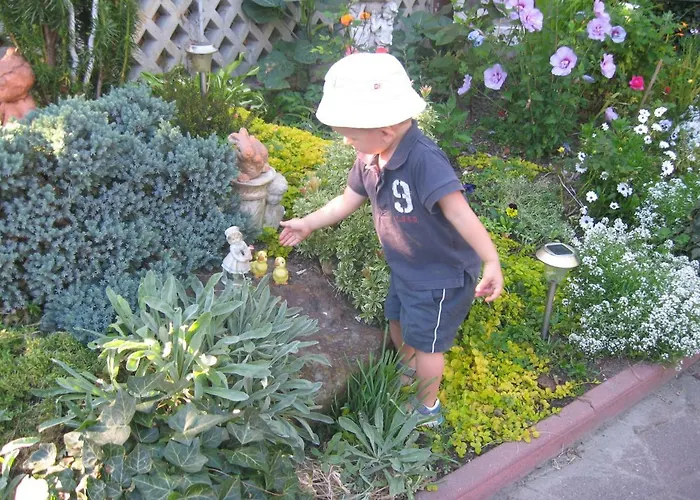 ホームステイ Gut